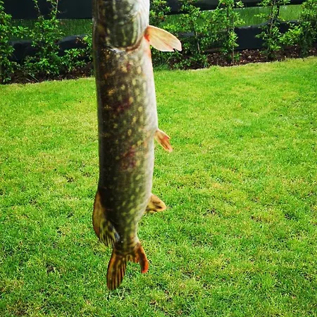 U Justyny Вилла Zalakowo