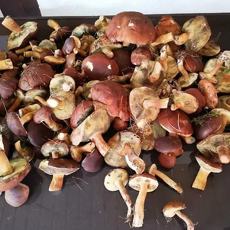 Вилла U Justyny *