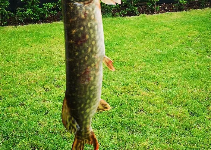 U Justyny Willa Zalakowo